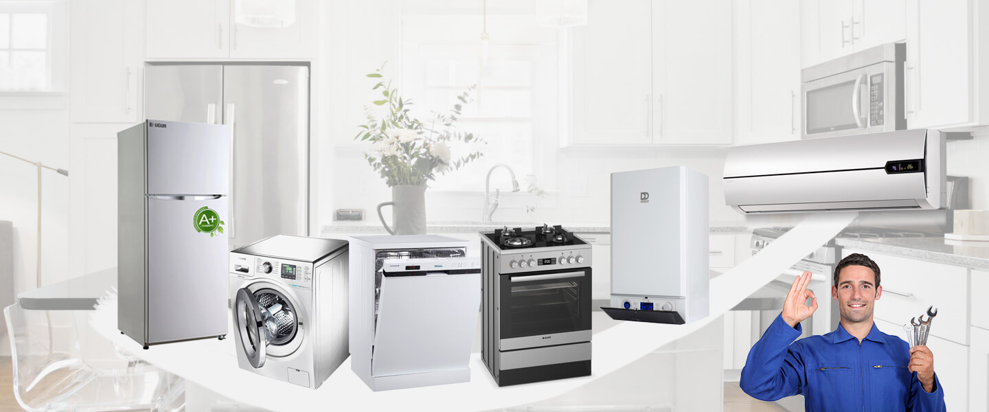 Güzelyalı Carrier Servisi